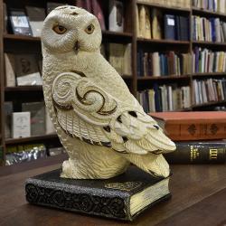 Owl On Book